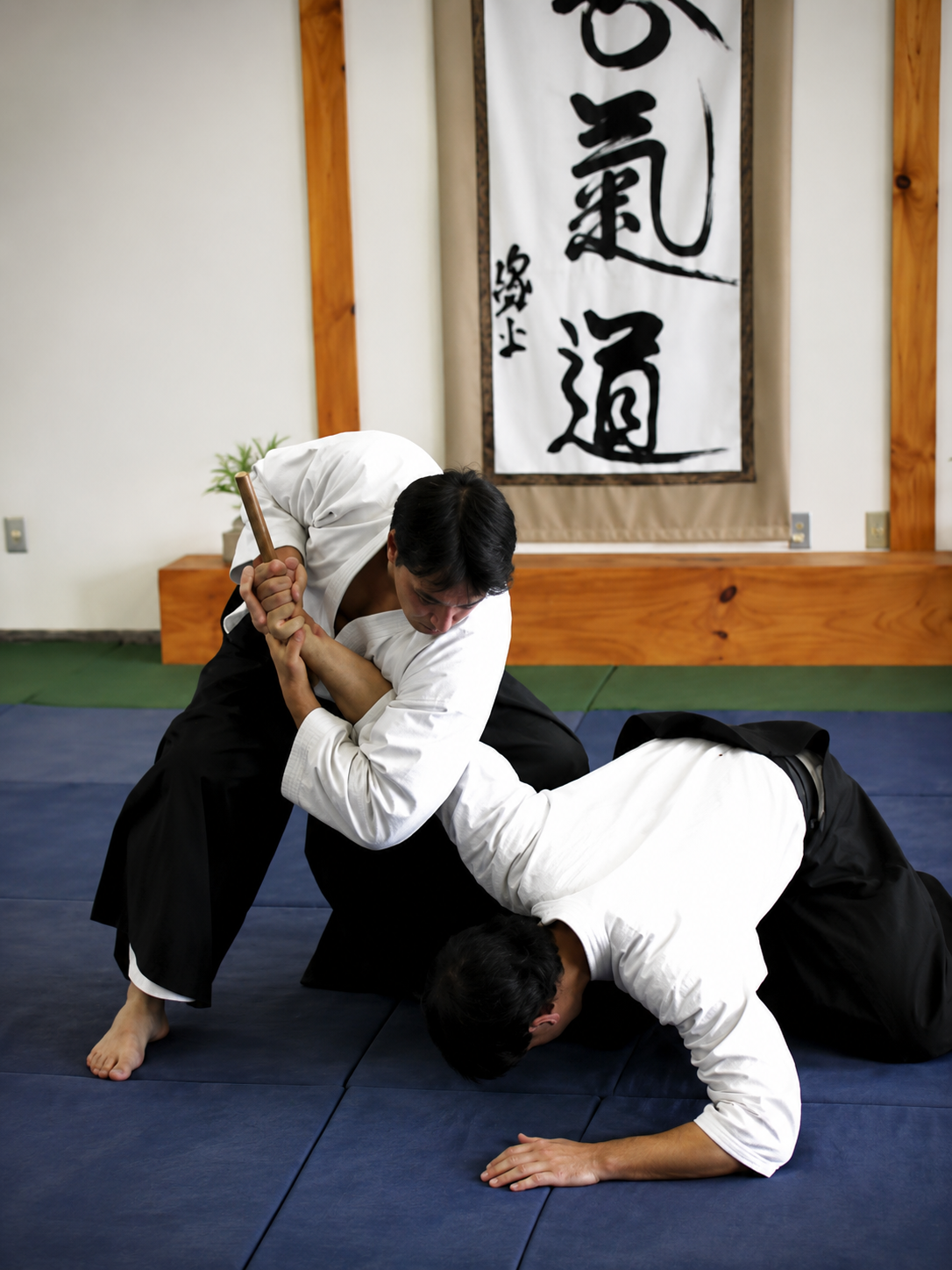 Aikido para adultos em Mogi das Cruzes