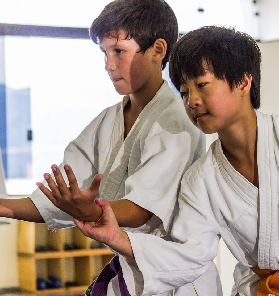 Aikido para crianças em Mogi das Cruzes