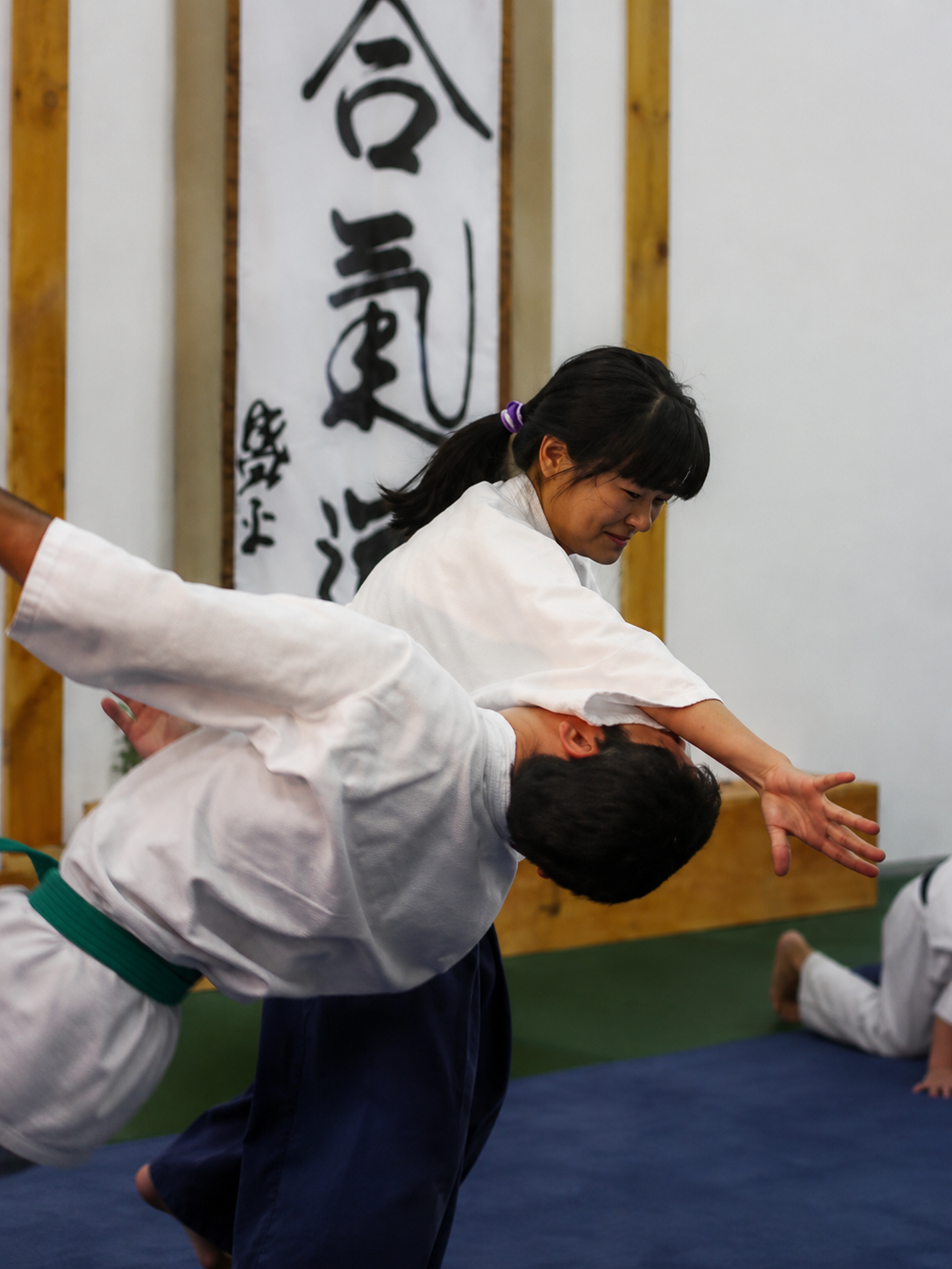 Aikido para sêniors em Mogi das Cruzes