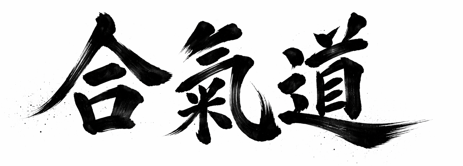O que é Aikido